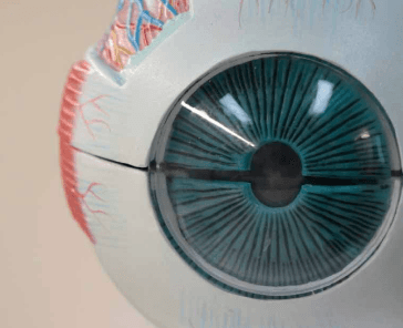 Bildschirmfoto 2025-05-07 um 08.56.59.png